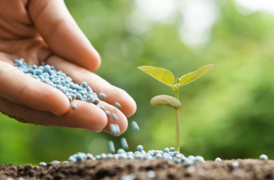 山東中新農(nóng)業(yè)發(fā)展 深耕生物有機(jī)肥料研發(fā)，賦能綠色高效農(nóng)業(yè)